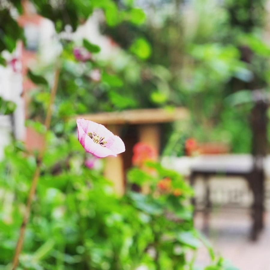 Hostal Yakumama กูเอ็งกา ภายนอก รูปภาพ